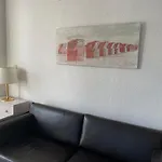 Viden Apartament
